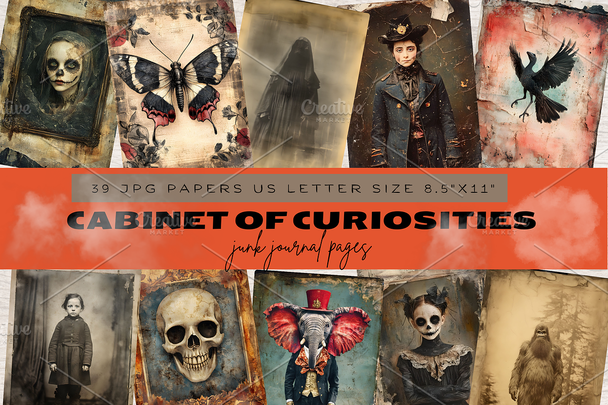 CABINET OF CURIOSITIES JUNK JOURNAL, a Seasonal Illustration by Daring Digies (Photo 1 of 7)