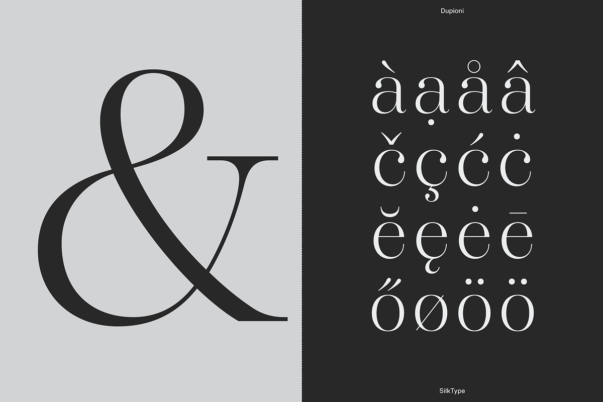 Dupioni - 6 font family, a Serif Font by Silktype (Photo 17 of 21)