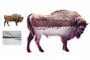 Double Exposure Photoshop Action Pro, an Action Add-On by Krystal Designs Co. (Thumbnail 2 of 7)