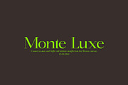 Panorama - Classical Serif, a Serif Font by subkulturetype (Thumbnail 2 of 8)