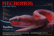 Necronos - Serif font family, a Serif Font by Artistic & Unique (Thumbnail 12 of 15)