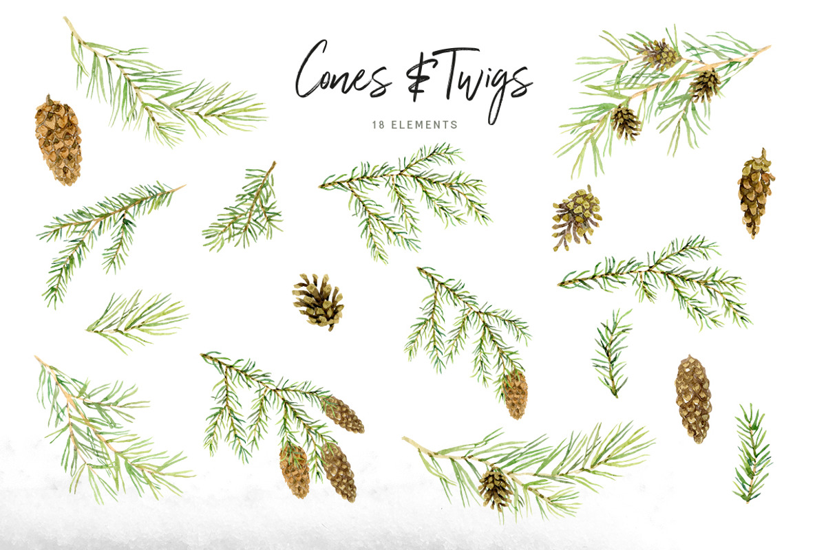 Cones & Twigs, an Illustration by OJardin (Photo 6 of 6)