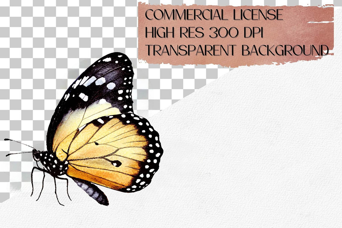 Watercolor Butterfly Clipart Set, an Animal Illustration by CropUp Creative (Photo 4 of 4)