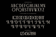 Figurlce A Display Serif Font, a Serif Font by Storytype Studio (Thumbnail 13 of 15)