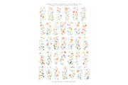 Watercolor Meadow Flower Clipart Set, a Decorative Illustration by Patishop Art (Thumbnail 5 of 6)