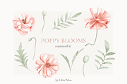 Poppy Blooms – Watercolor & Line Art, a Decorative Illustration by Liliia Polos Illustration (Thumbnail 6 of 11)