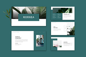 Bornea - Powerpoint Template