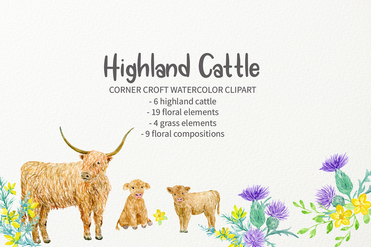 Watercolor Highland Cattle Clipart, an Animal Illustration by Corner Croft (Photo 3 of 6)