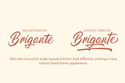 Brigante – Brush Script Font, a Handwritten Font by MERCI STUDIO (Thumbnail 5 of 8)