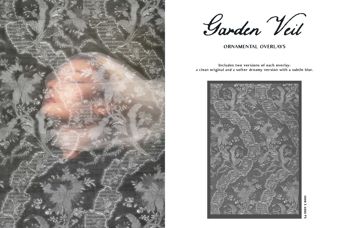 Garden Veil: Lace Overlays, a Texture Graphic by Purple (Photo 16 of 16)