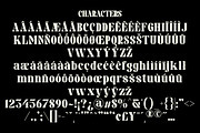Pronema - Modern Serif, a Serif Font by tebaltipislab (Thumbnail 3 of 13)