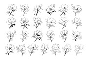50 Magnolia Procreate Stamps Brushes, a Brush Add-On by Procreate Sale (Thumbnail 5 of 6)
