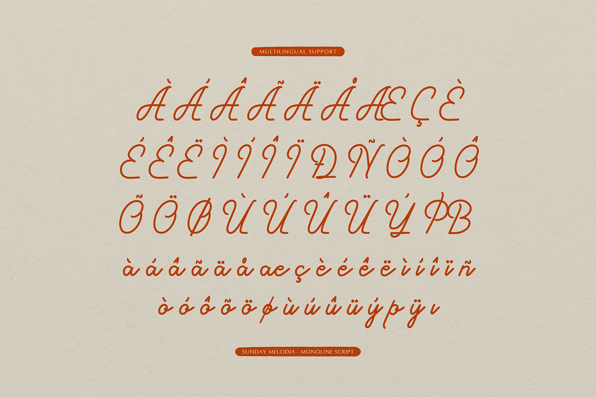 Sunday Melodia | Monoline Script, a Script Font by gracetype_studio (Photo 12 of 12)