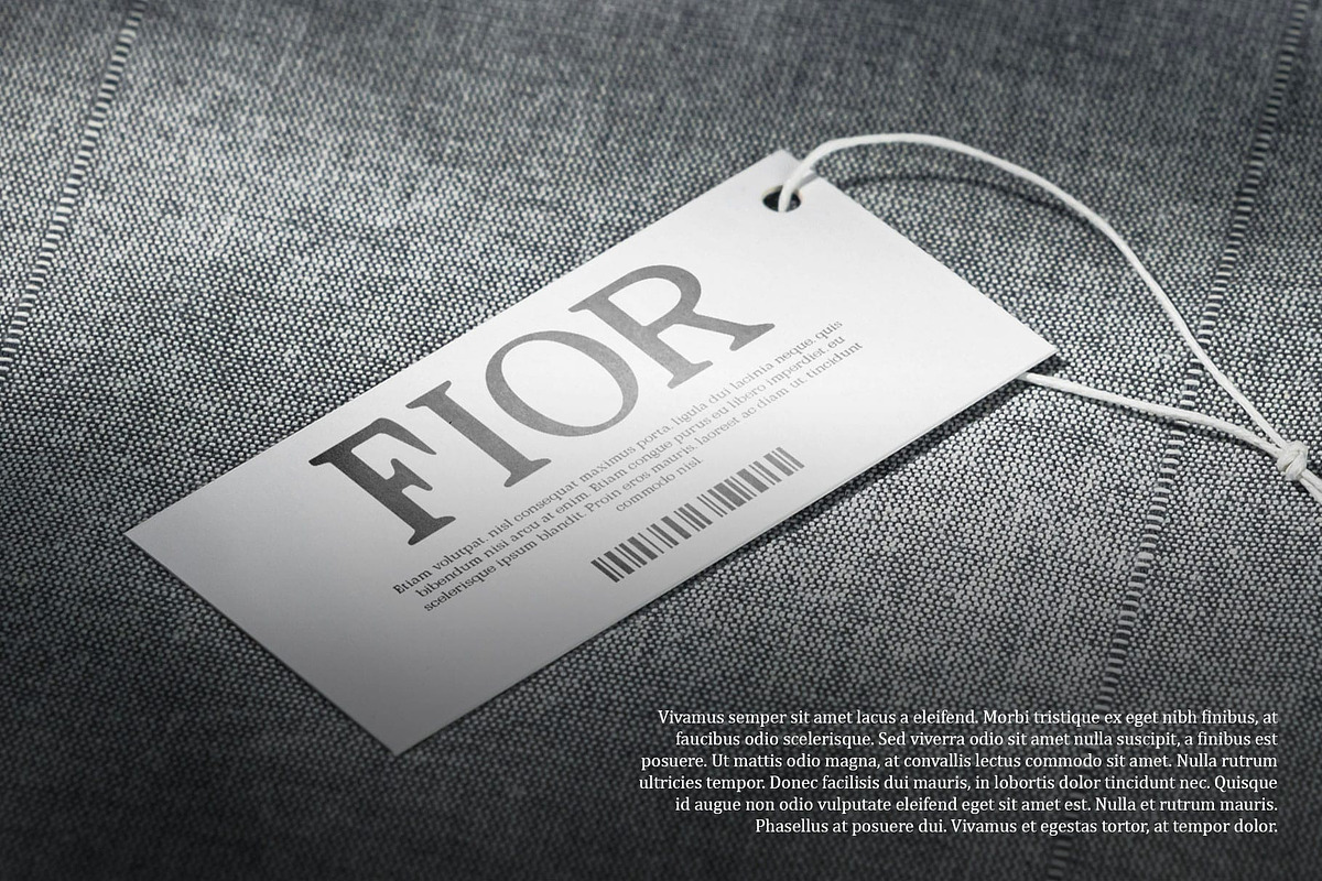 Galgey Blur, a Serif Font by Craft Supply Co. (Photo 7 of 8)