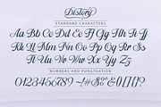 Distory Script, a Script Font by Letter Fresh (Thumbnail 8 of 10)