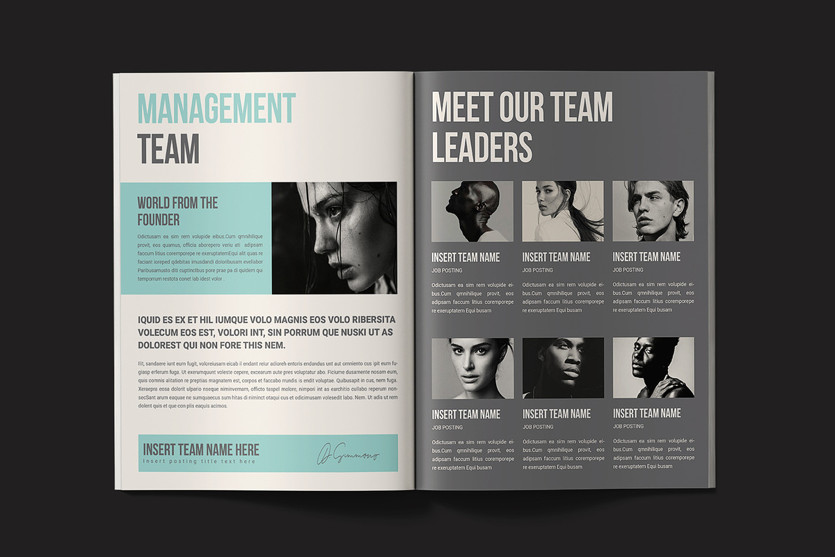 The Business Plan Brochure Template preview 4