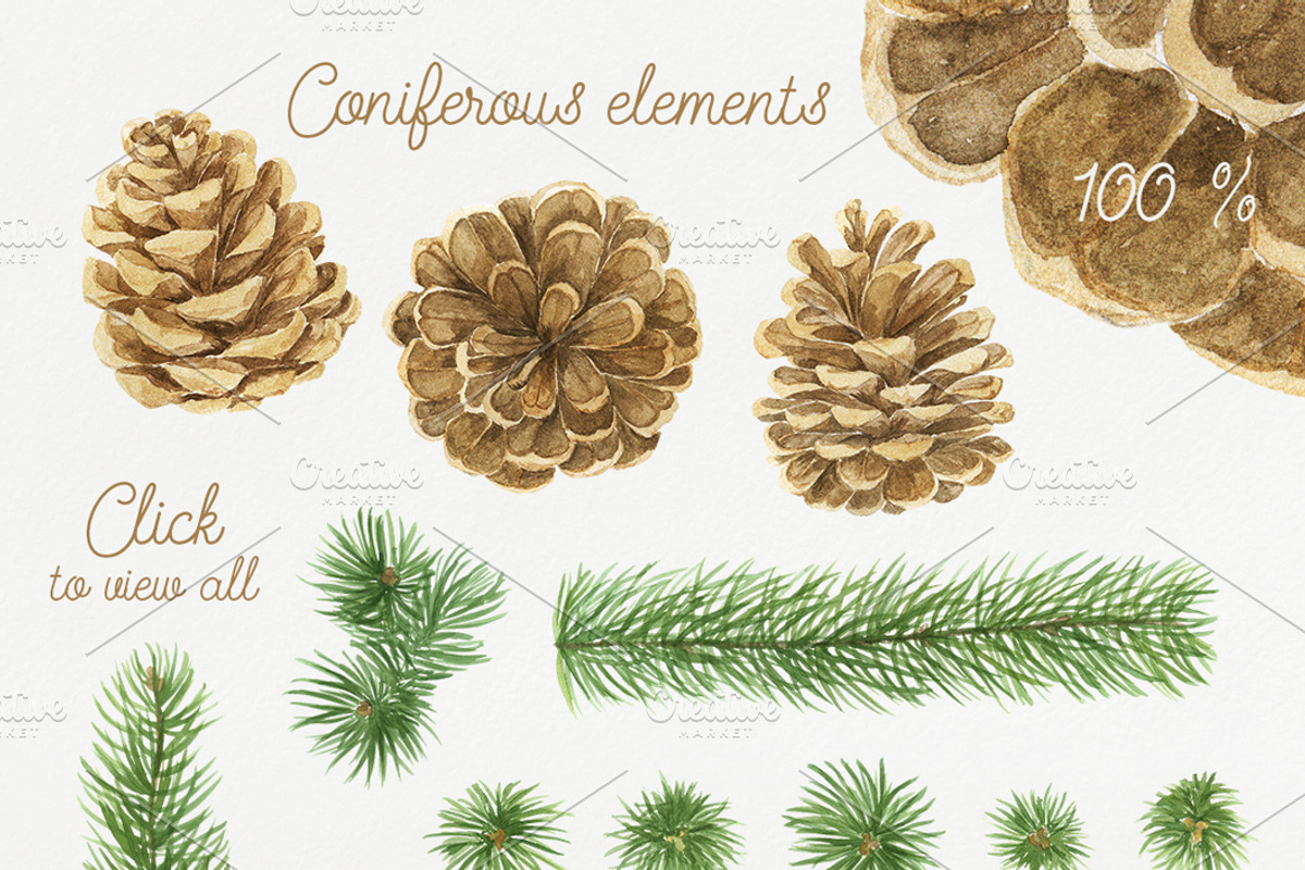 Coniferous Watercolor Set, an Illustration by NataliVA (Photo 3 of 3)