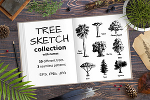 Set of Sketch Trees