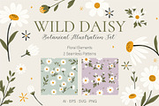 Wild Daisy Floral Set & Patterns, a Decorative Illustration by OREHOVKA (Thumbnail 1 of 4)