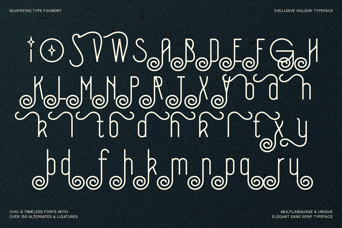 SLTF Holiday Whispers Typeface, a Sans Serif Font by SilverStag Type Foundry (Photo 19 of 20)
