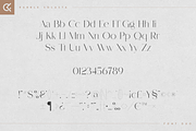 Rabble & Solasta - modern font duo, a Script Font by Only Fonts (Thumbnail 6 of 12)