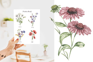 Watercolor Field Flowers Collection