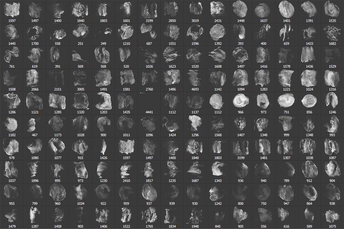 450 Watercolor Brushes. PS Hi-Res, a Brush Add-On by Masherdraws (Photo 3 of 11)