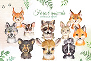 Watercolor Woodland Animals clipart, an Animal Illustration by SavinV (Thumbnail 1 of 6)