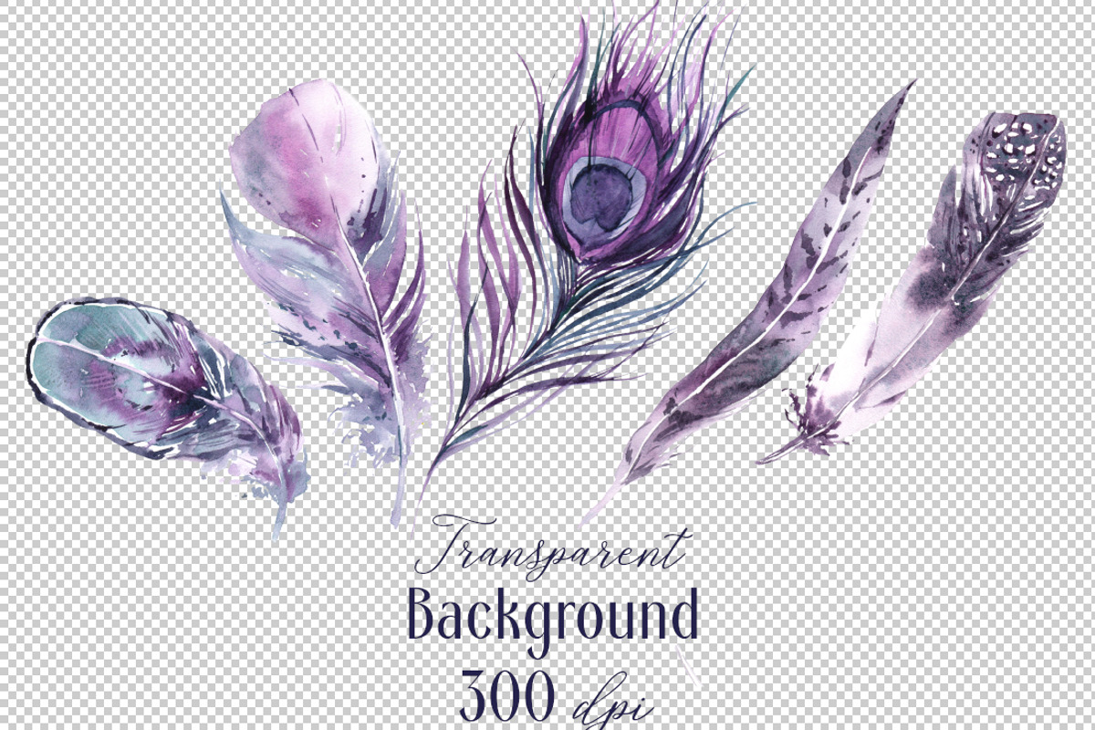 Nightfall Feathers Watercolor, an Illustration by Cat In Colour (Photo 4 of 8)
