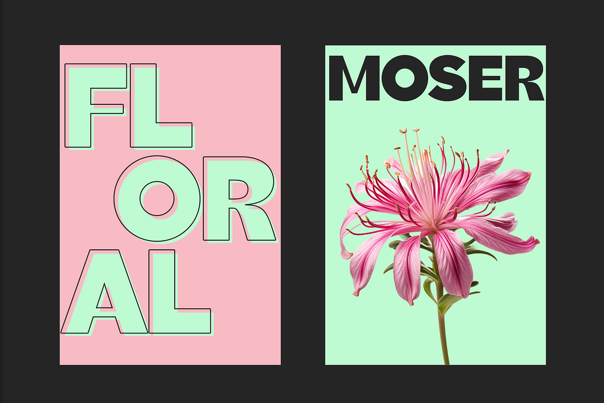 Moser | Font Family, a Sans Serif Font by Almond Type (Photo 2 of 11)