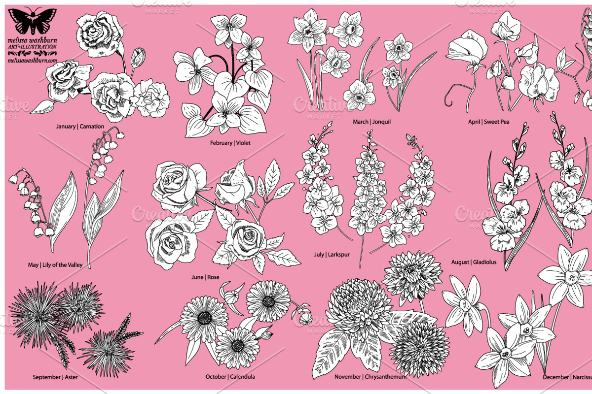 Birth Flower Vector Line Art, an Illustration by MyNatureGraphics (Photo 3 of 3)