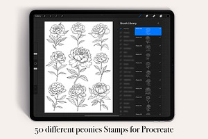 Peonies Flowers Procreate Stamps