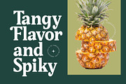 Gafjust Minfine Modern Serif, a Serif Font by timelesstype.co (Thumbnail 11 of 20)