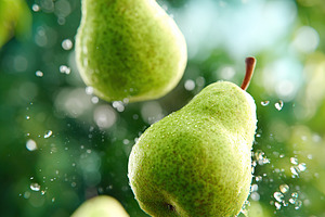 Floating apples and pears surrounded by water droplets in a lush green setting, a Food & Drink Photo by AlyaAnd