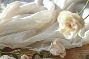 SPRING BOX Watercolor Bundle 400+, a Decorative Illustration by Muse Artist (Thumbnail 91 of 99)