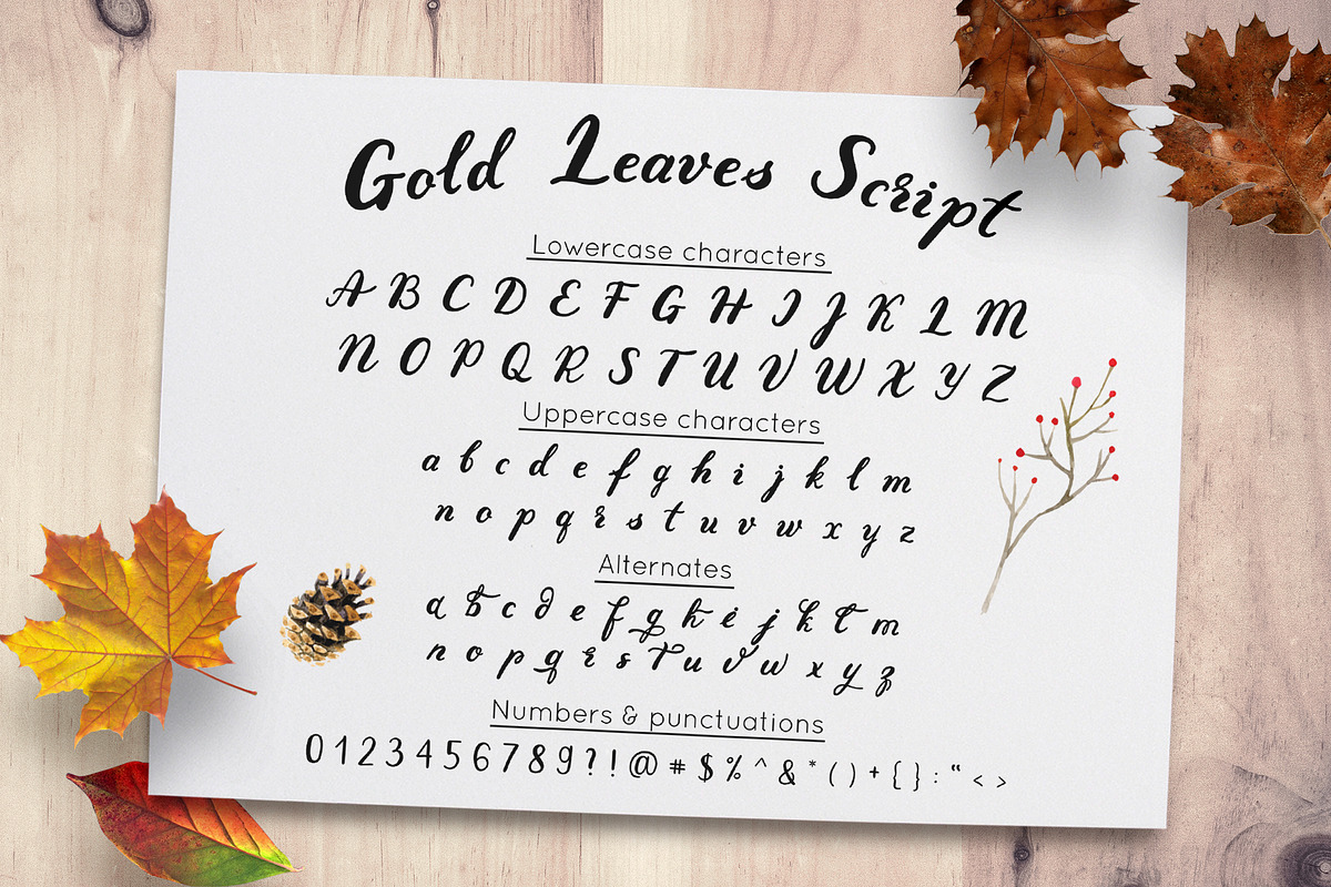 Autumn - fall in love font duo preview 3