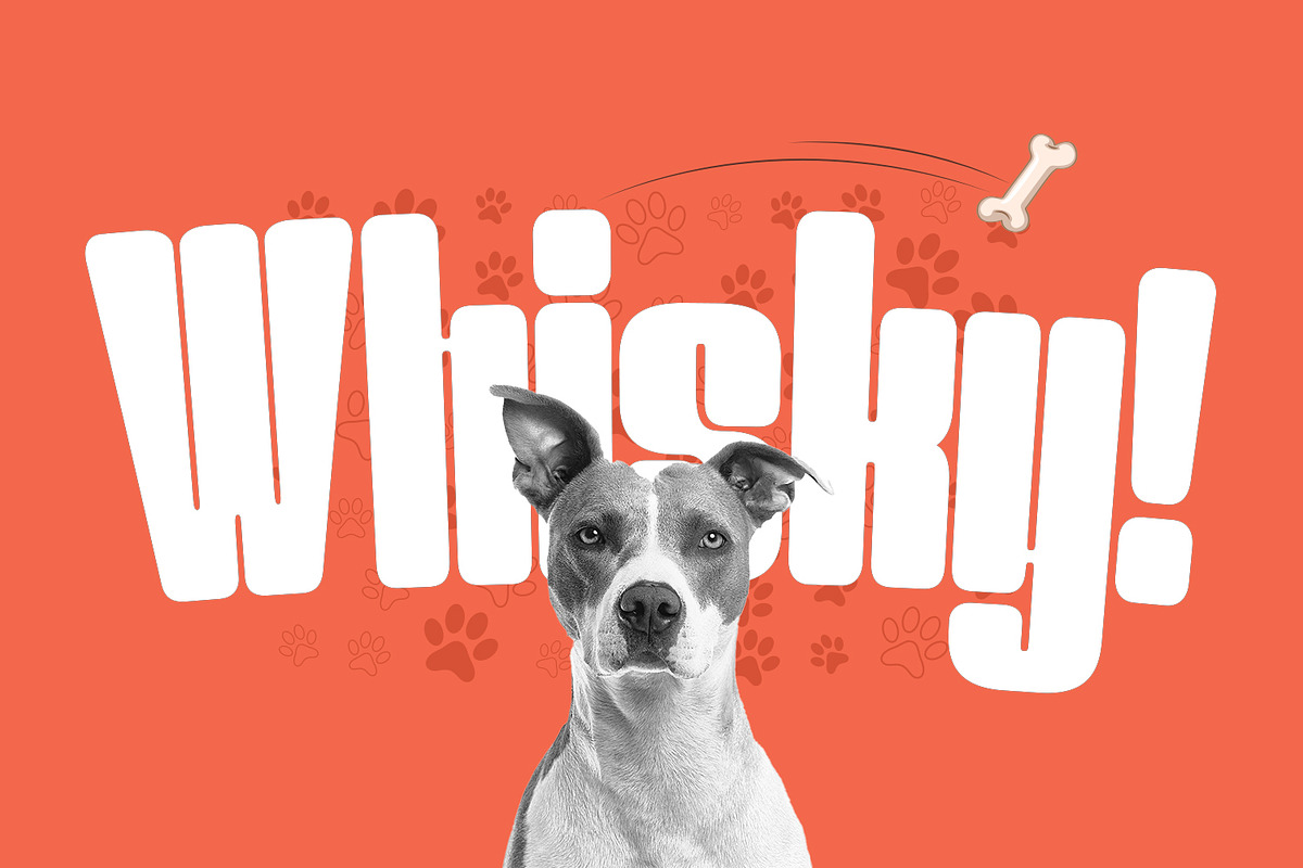 Werner Display, a Sans Serif Font by Foxtype (Photo 2 of 6)