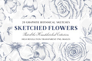 20 Floral Illustrations & More, a Decorative Illustration by AW Studios (Thumbnail 1 of 6)