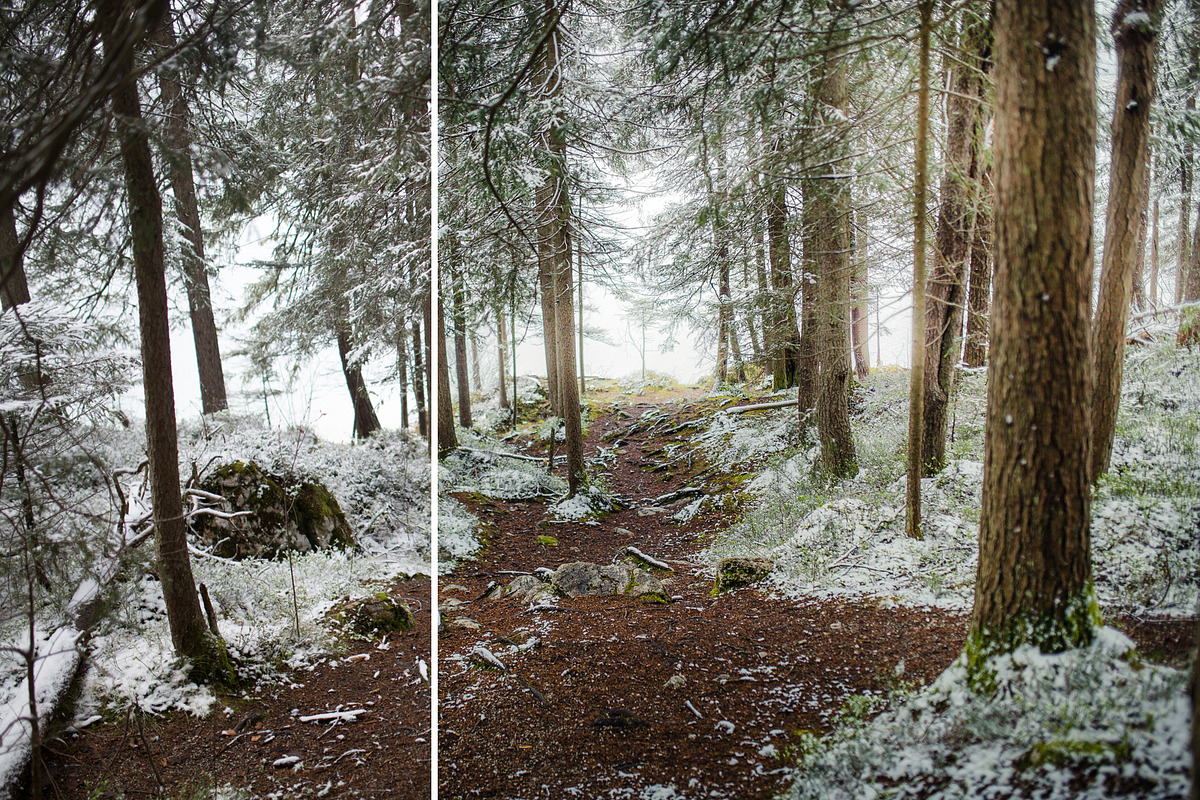 MILLION OF GREEN-Set of 20presets Lr, an Action Add-On by Graphics, Presets, Photos (Photo 4 of 21)