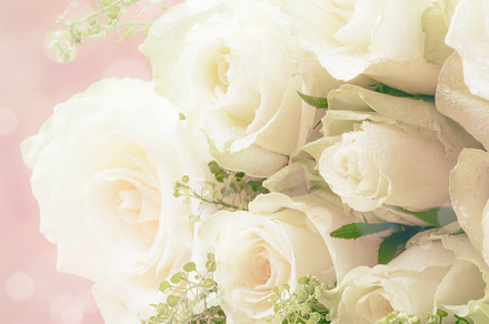 Bouquet of white roses for women's d containing white, bouquet, and roses, a Nature Photo by 5PH