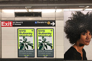 Ultimate NYC Mockup Bundle, an Advertising Mockup by NYC Billboard Mockups (Thumbnail 8 of 15)