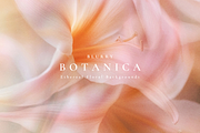Aesthetic Blurry Floral Backgrounds, a Background Graphic by Altea Design Studio (Thumbnail 10 of 14)