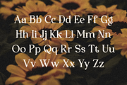 Oranges - Modern Retro Serif, a Serif Font by RockboyStd (Thumbnail 9 of 12)