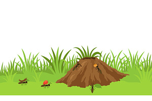 An anthill. Ants in burrows, an Animal Illustration by Things for designers