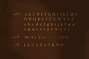 Malguit Elegant Serif Font, a Serif Font by Graphicxell (Thumbnail 7 of 8)