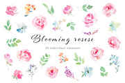 Blooming roses watercolor clipart, a Decorative Illustration by Sawango Designs (Thumbnail 2 of 4)