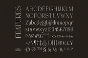 Enlighten - Aesthetic Serif Font, a Serif Font by Inviline.co (Thumbnail 4 of 16)