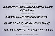 Make your mark marker font typeface, a Handwritten Font by TD fonts (Thumbnail 6 of 9)