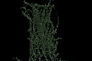 pack Nature, an Object Graphic by FlyOk (Thumbnail 4 of 9)