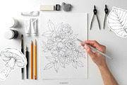 Delicate Autumn Collection, a Seasonal Illustration by GVGraphics (Thumbnail 14 of 15)